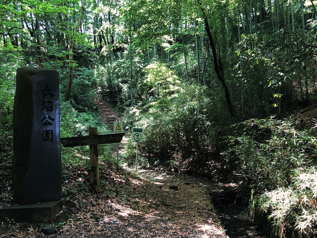 f:id:miwa3k:20190703185834j:plain