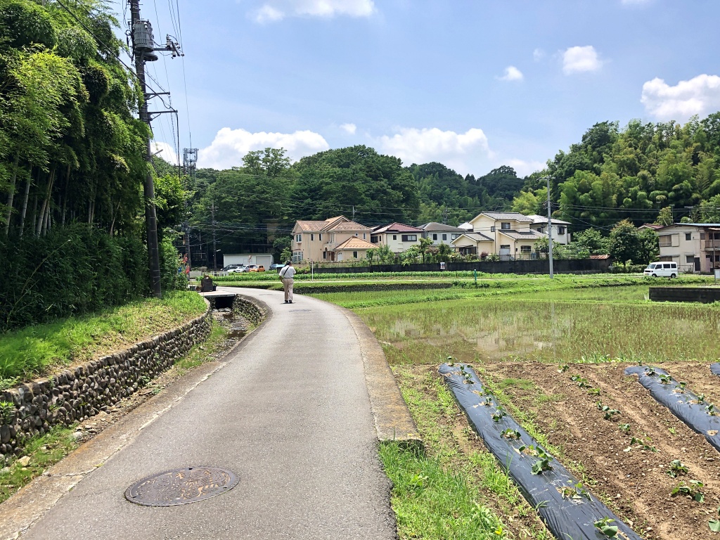 f:id:miwa3k:20190703185844j:plain