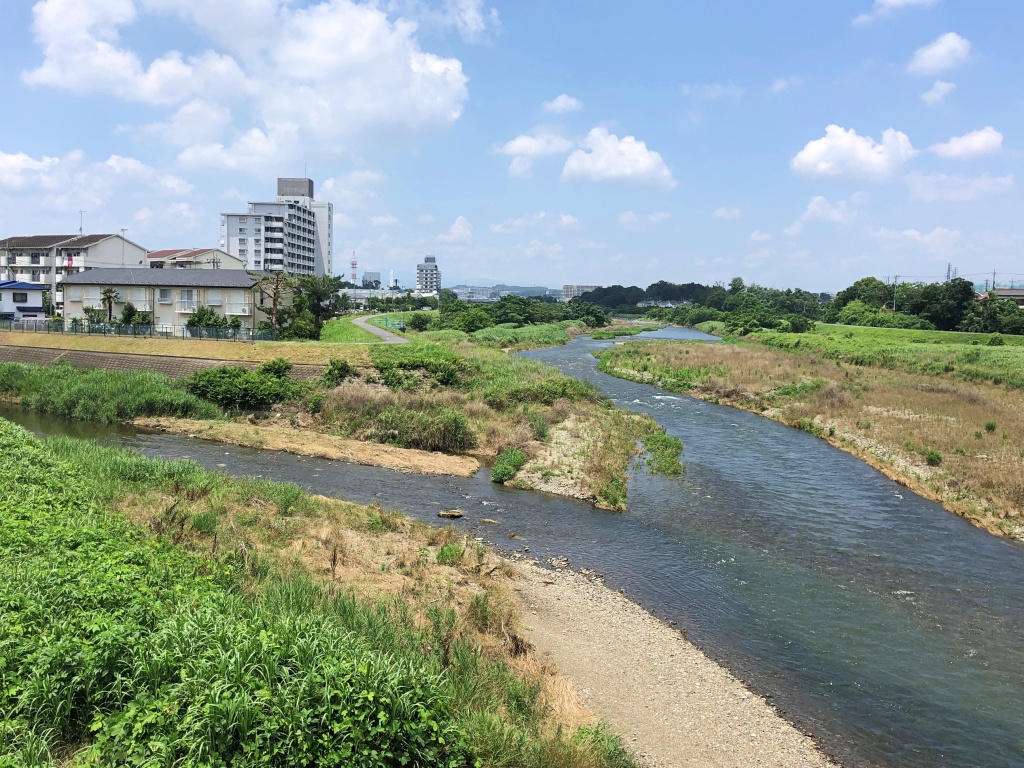 f:id:miwa3k:20190703185853j:plain