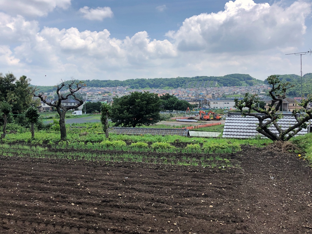 f:id:miwa3k:20190703185912j:plain