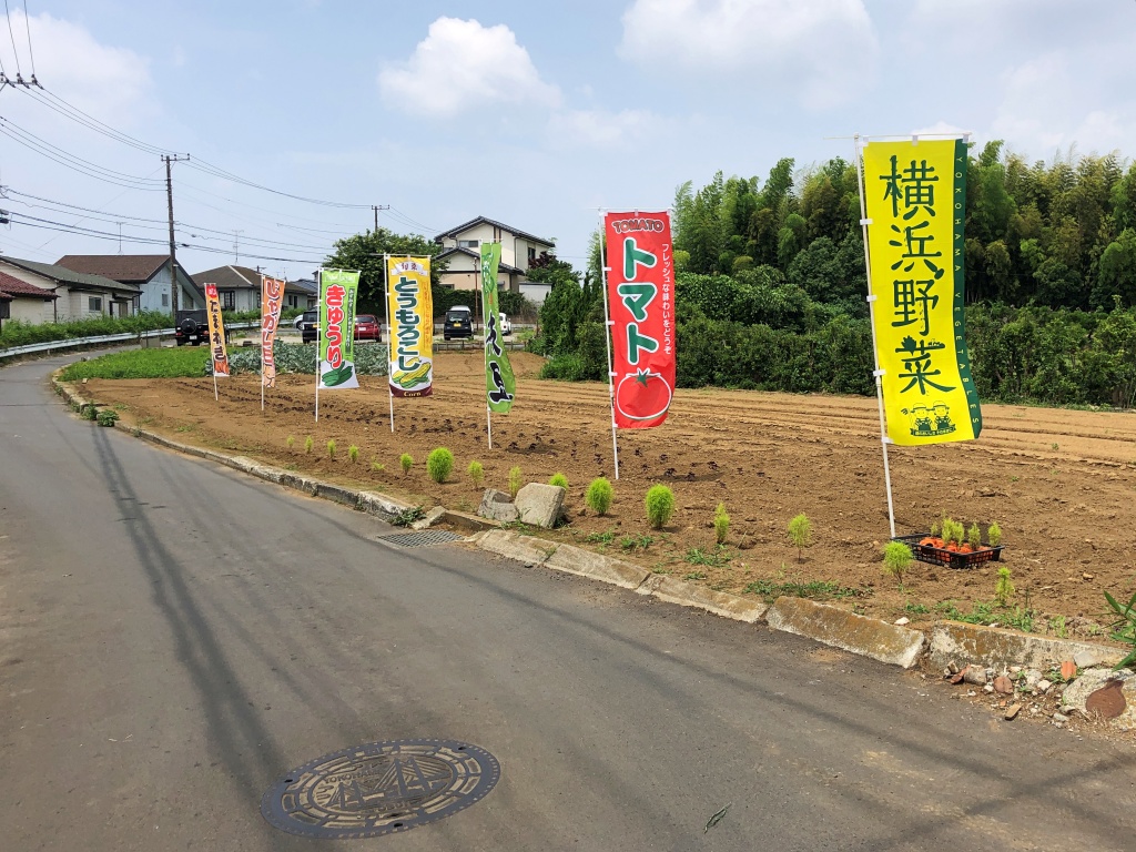 f:id:miwa3k:20190707121830j:plain f:id:miwa3k:20190707121830j:plain