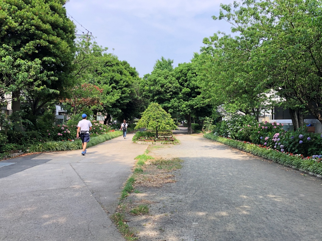 f:id:miwa3k:20190707122232j:plain f:id:miwa3k:20190707122232j:plain