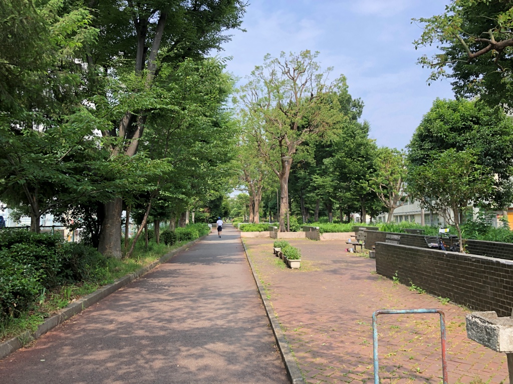 f:id:miwa3k:20190707122241j:plain f:id:miwa3k:20190707122241j:plain