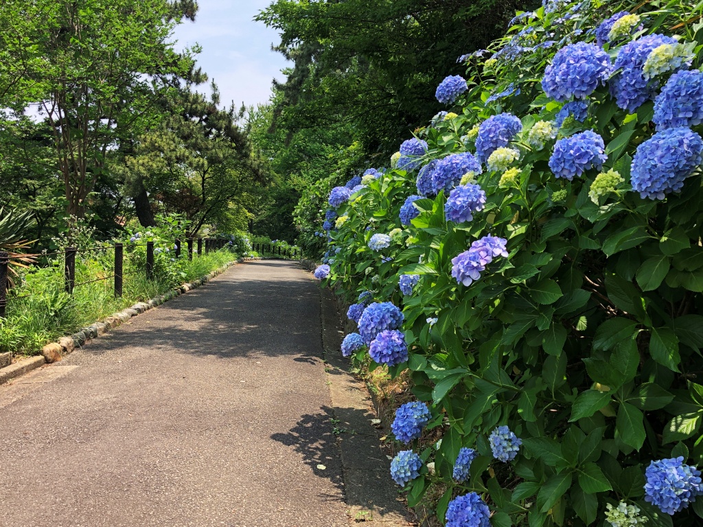 f:id:miwa3k:20190712202722j:plain