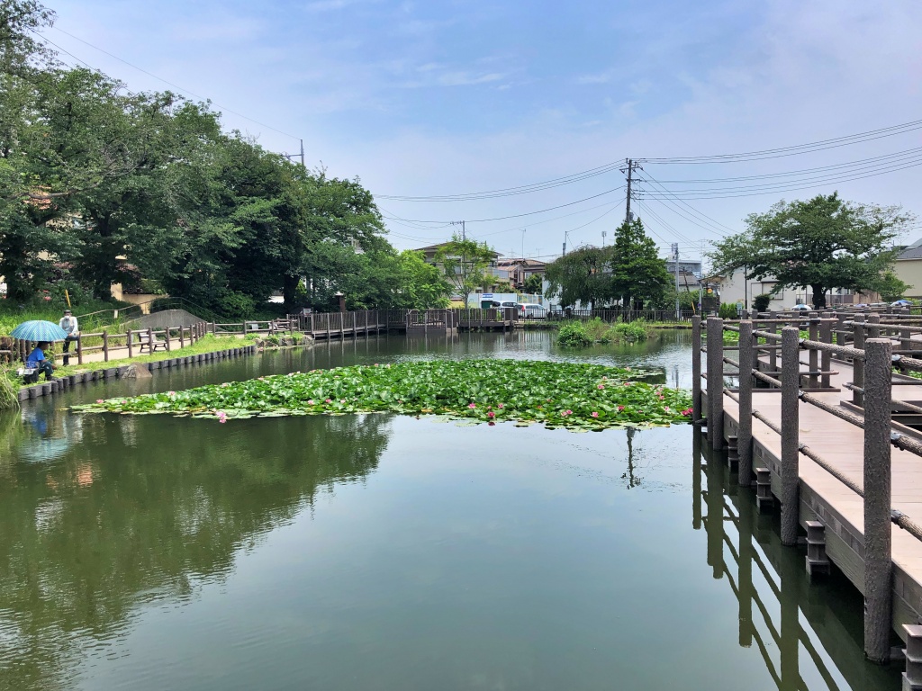 f:id:miwa3k:20190712202730j:plain