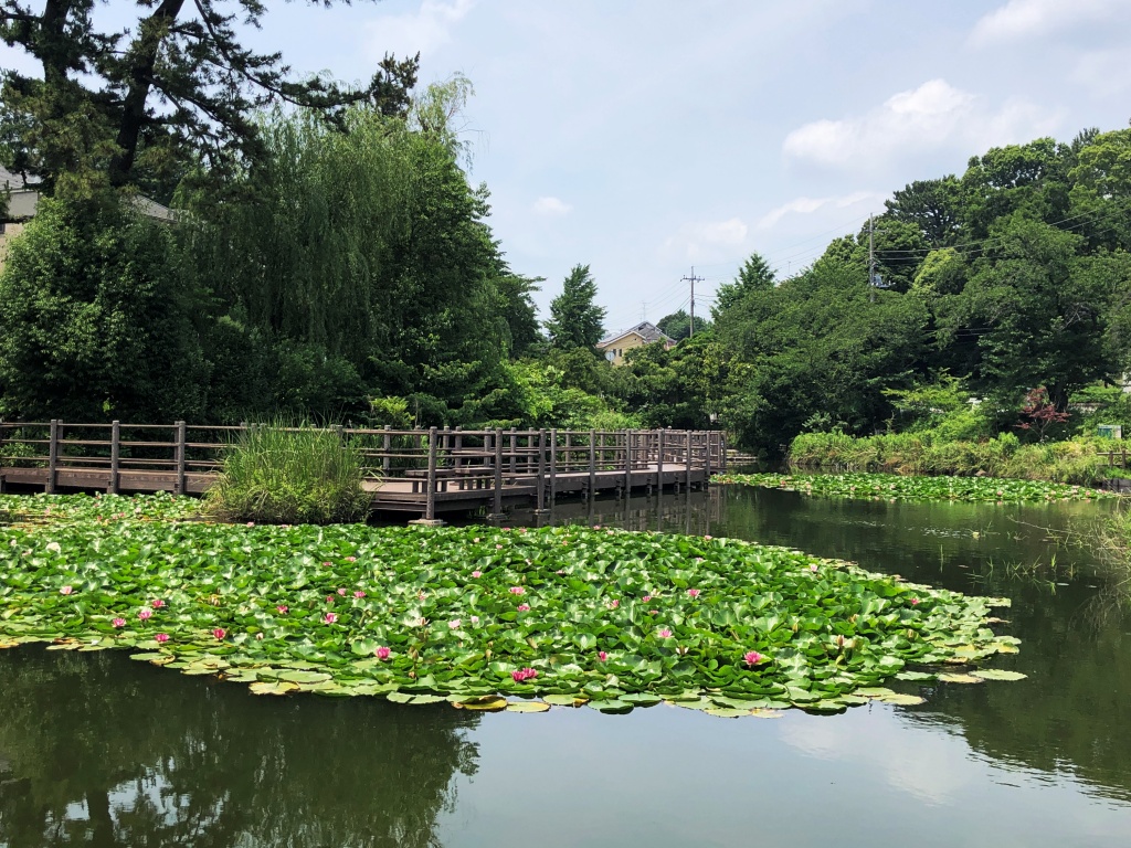 f:id:miwa3k:20190712202748j:plain