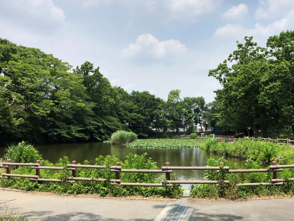 f:id:miwa3k:20190712202814j:plain