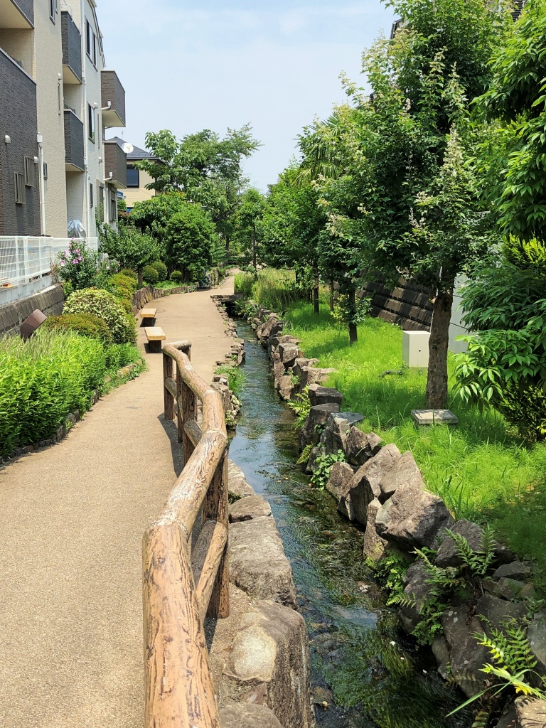 f:id:miwa3k:20190712202848j:plain