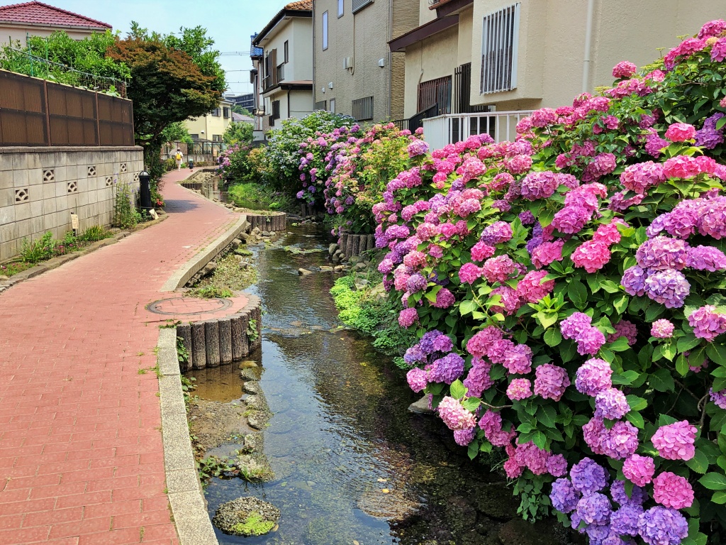 f:id:miwa3k:20190712202857j:plain