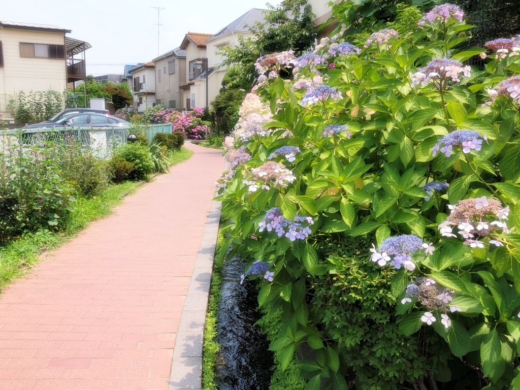 f:id:miwa3k:20190712202907j:plain