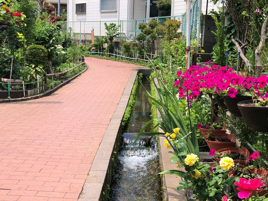 f:id:miwa3k:20190712202923j:plain