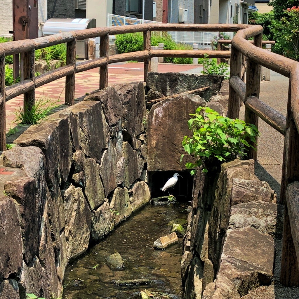 f:id:miwa3k:20190712202930j:plain