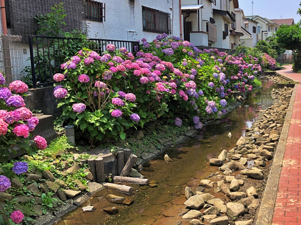 f:id:miwa3k:20190712202945j:plain