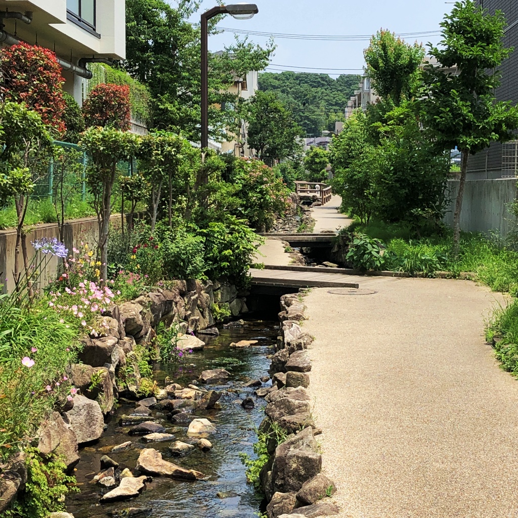 f:id:miwa3k:20190712202953j:plain
