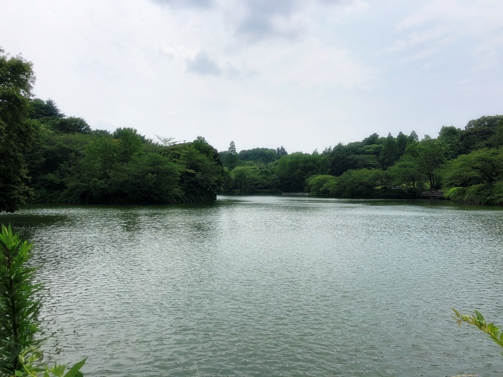 f:id:miwa3k:20190712203119j:plain