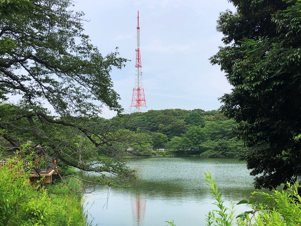 f:id:miwa3k:20190712203129j:plain