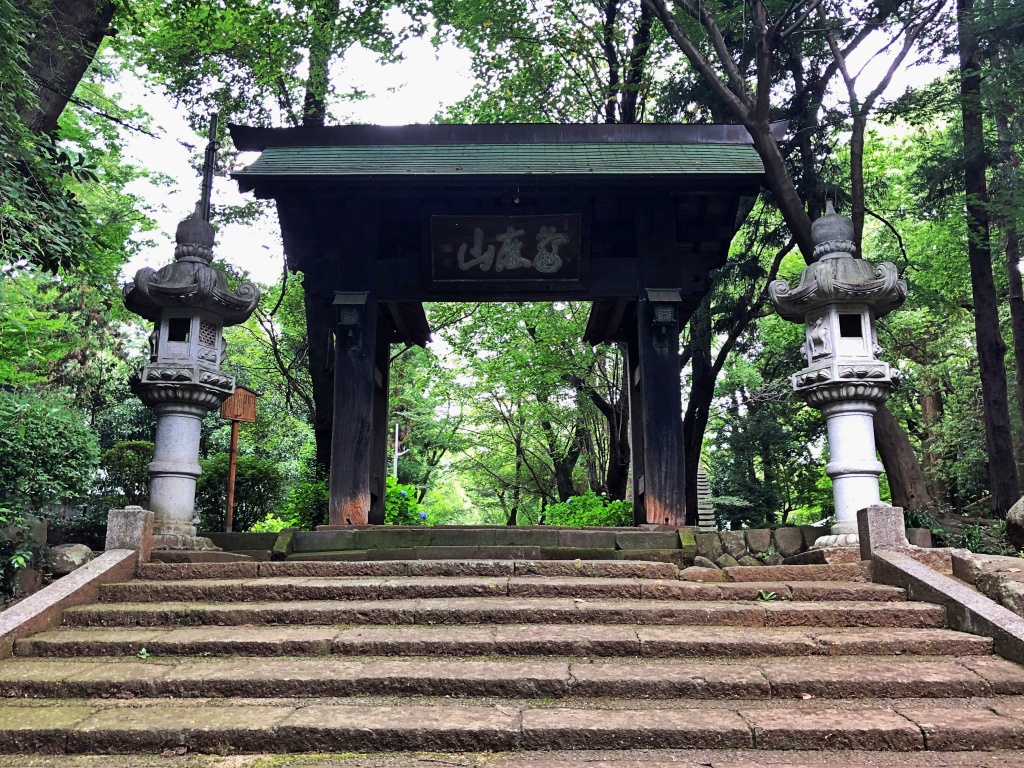 f:id:miwa3k:20190717111746j:plain f:id:miwa3k:20190717111746j:plain