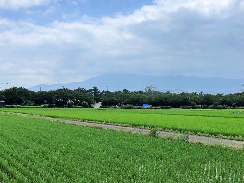f:id:miwa3k:20190717112048j:plain f:id:miwa3k:20190717112048j:plain