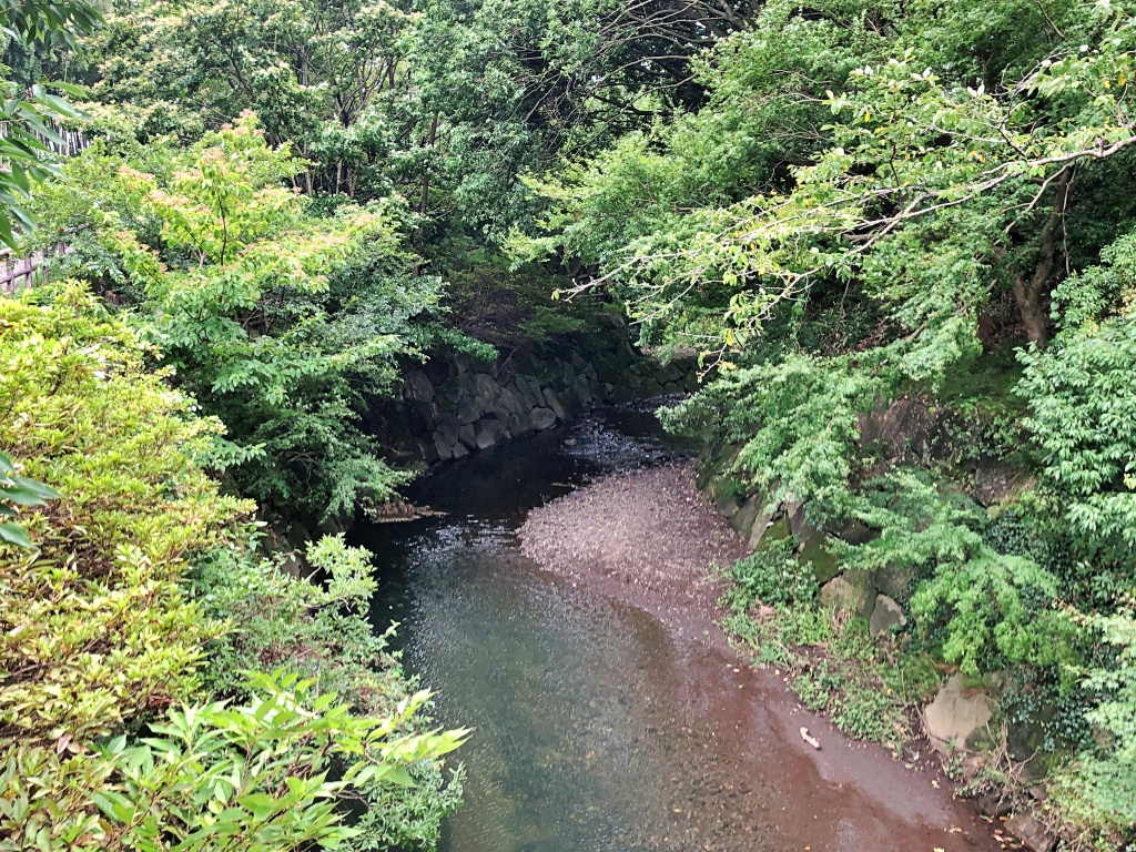 f:id:miwa3k:20190910221532j:plain f:id:miwa3k:20190910221532j:plain