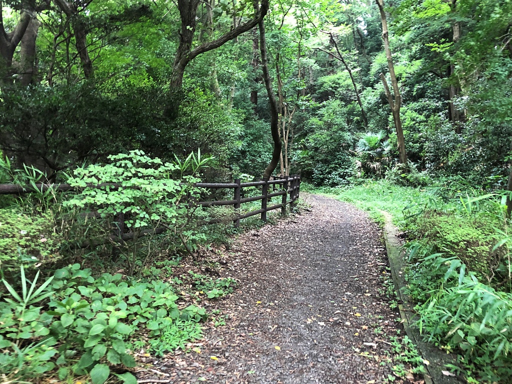 f:id:miwa3k:20190910221605j:plain f:id:miwa3k:20190910221605j:plain
