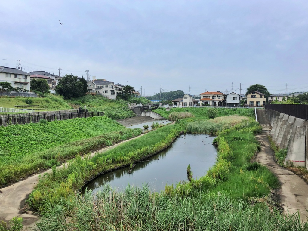 f:id:miwa3k:20190910221620j:plain f:id:miwa3k:20190910221620j:plain