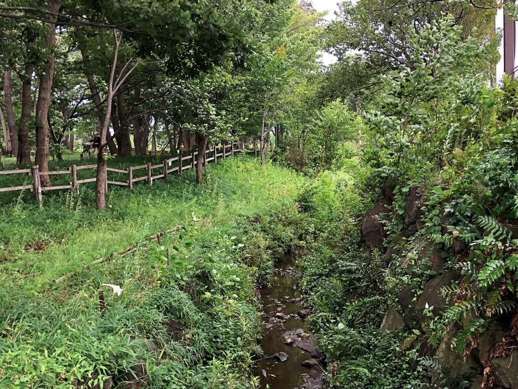 f:id:miwa3k:20190910221736j:plain f:id:miwa3k:20190910221736j:plain