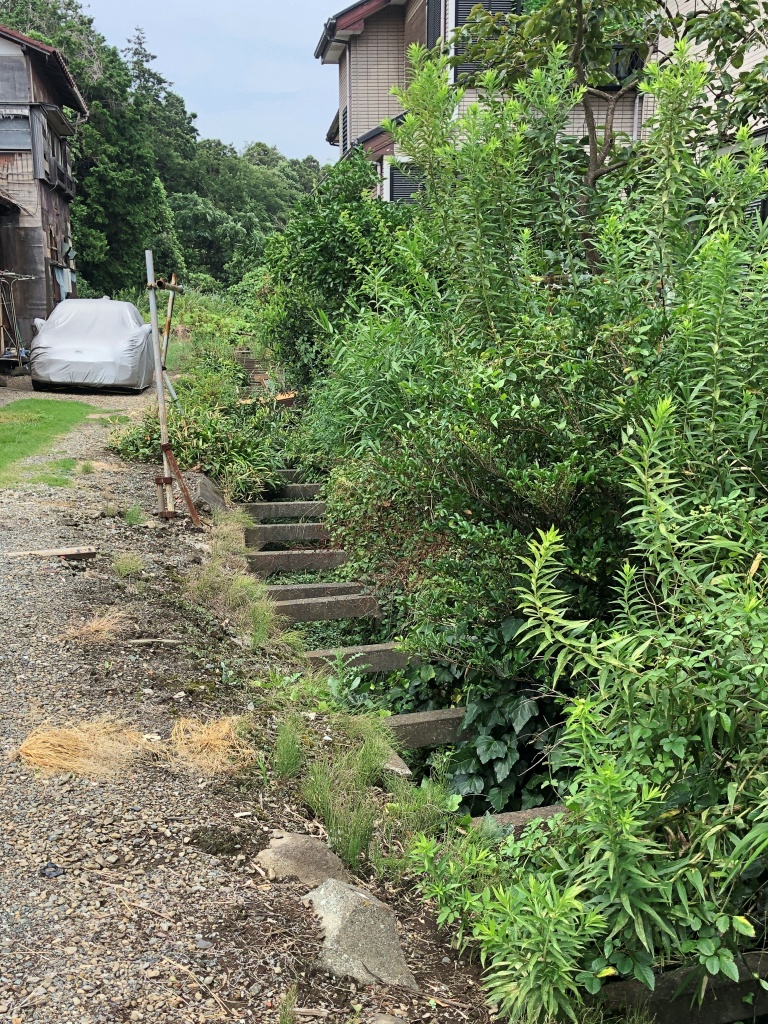 f:id:miwa3k:20190910221746j:plain f:id:miwa3k:20190910221746j:plain