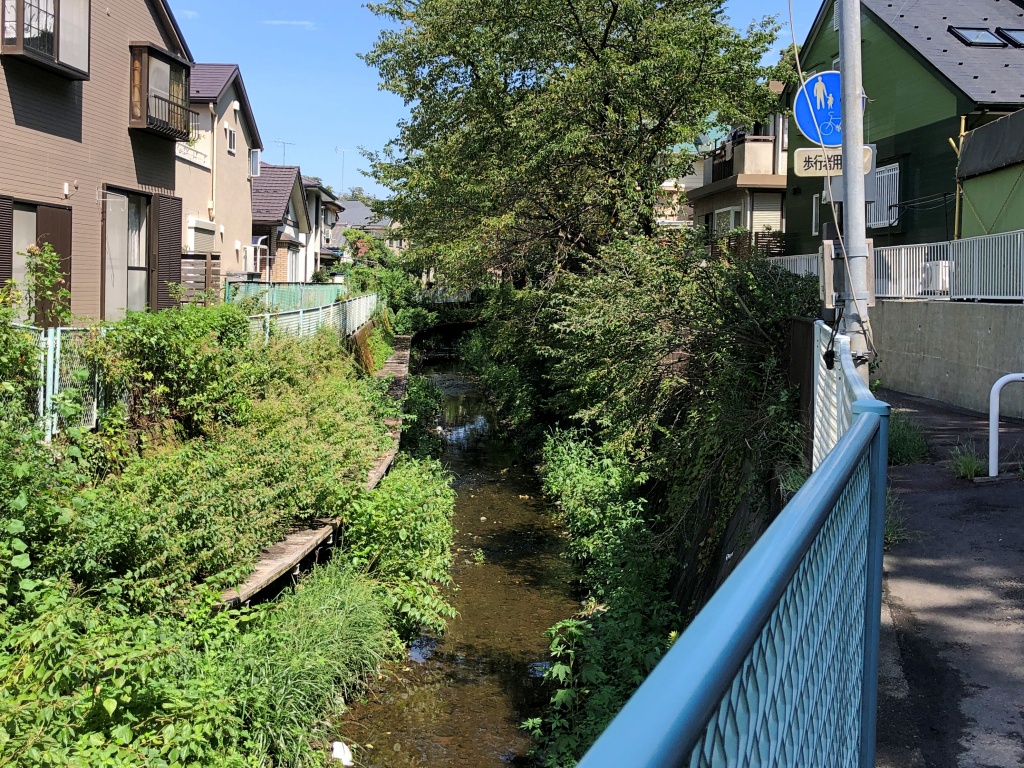 f:id:miwa3k:20190914144639j:plain