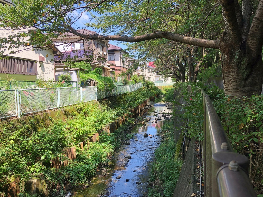 f:id:miwa3k:20190914144647j:plain