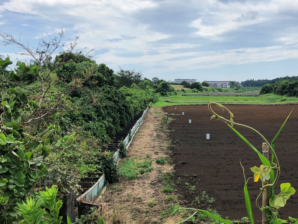 f:id:miwa3k:20190914144827j:plain