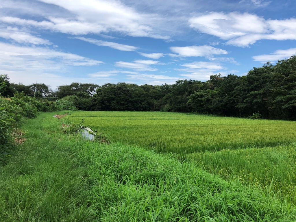f:id:miwa3k:20190914144900j:plain