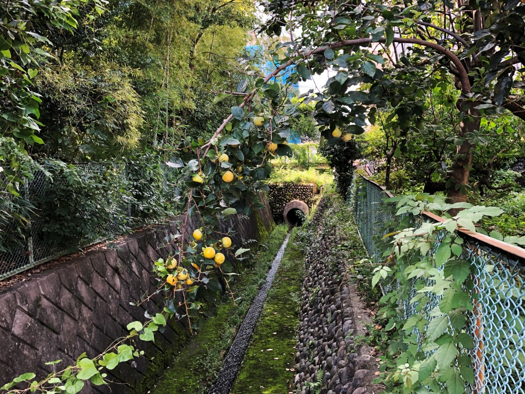 f:id:miwa3k:20190926174526j:plain f:id:miwa3k:20190926174526j:plain