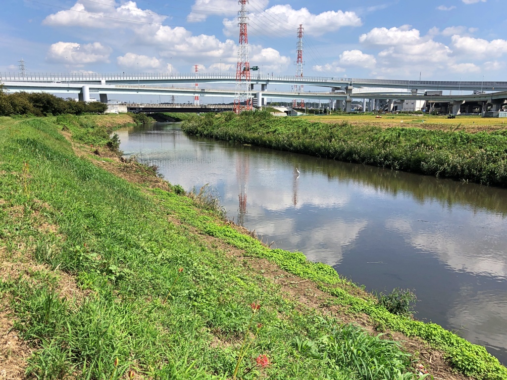 f:id:miwa3k:20190930173925j:plain