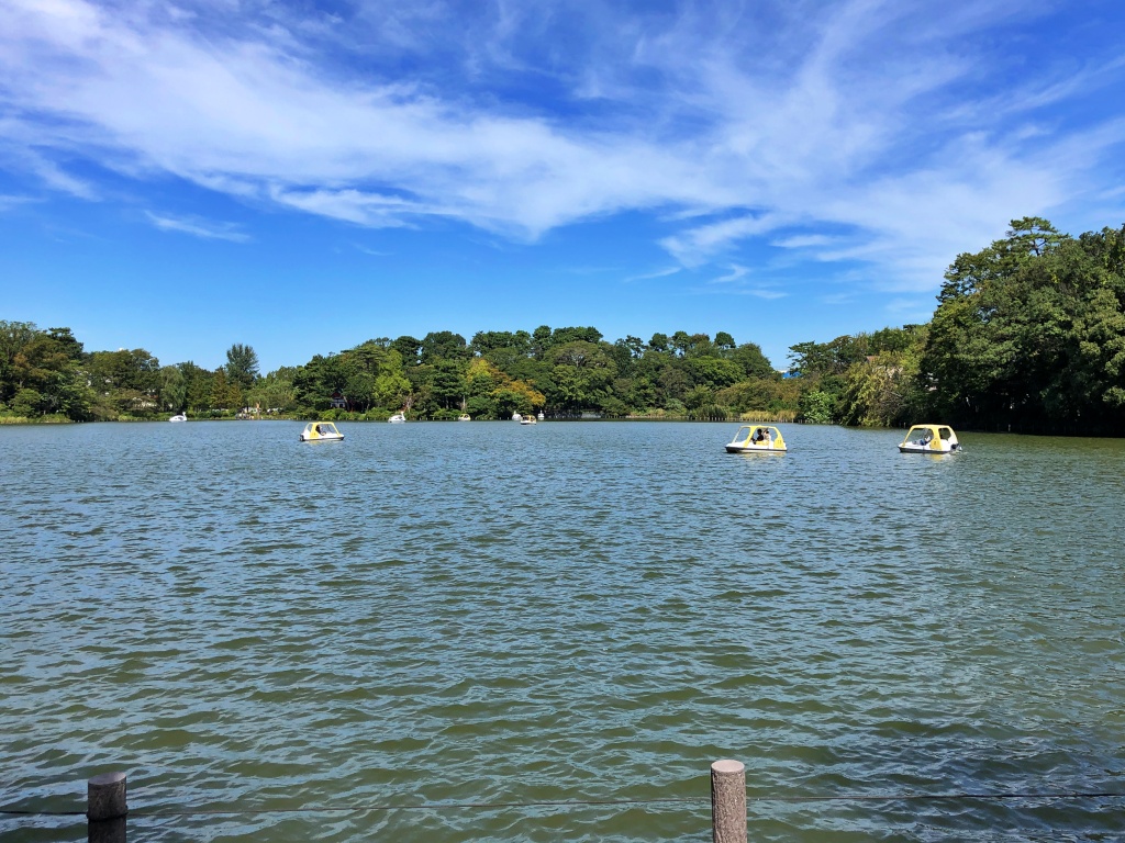 f:id:miwa3k:20191016202622j:plain f:id:miwa3k:20191016202622j:plain