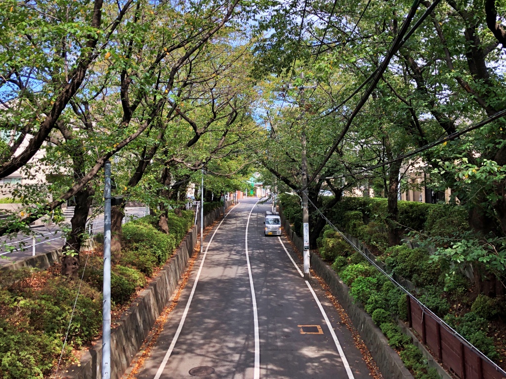 f:id:miwa3k:20191016202707j:plain f:id:miwa3k:20191016202707j:plain