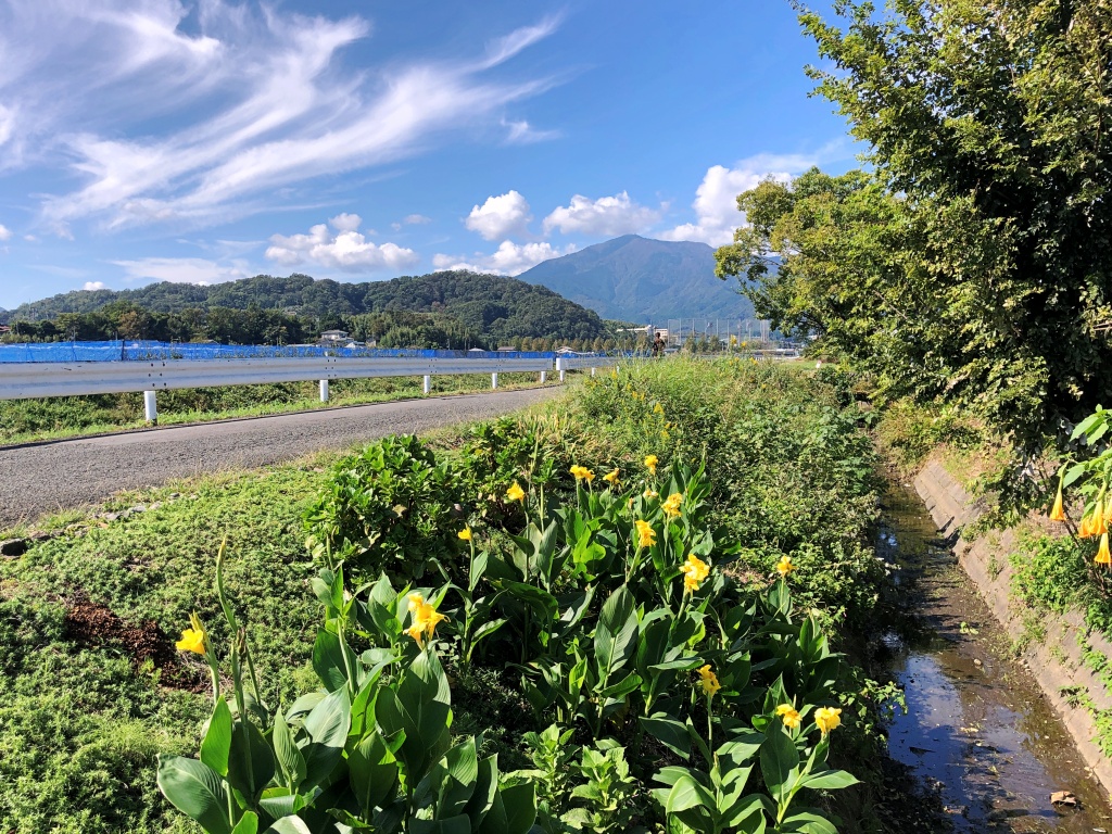 f:id:miwa3k:20191103130933j:plain