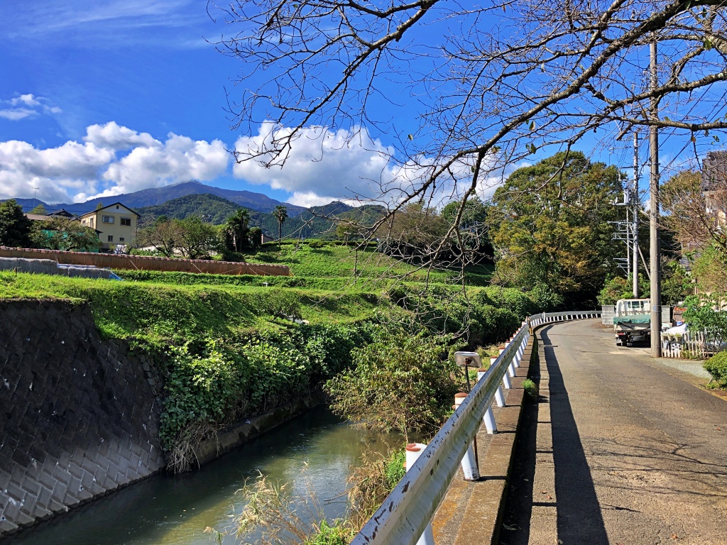 f:id:miwa3k:20191103131101j:plain
