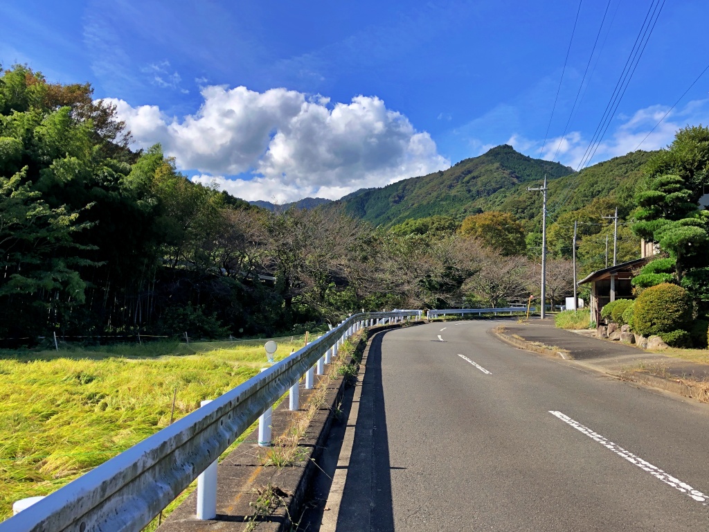 f:id:miwa3k:20191103131117j:plain