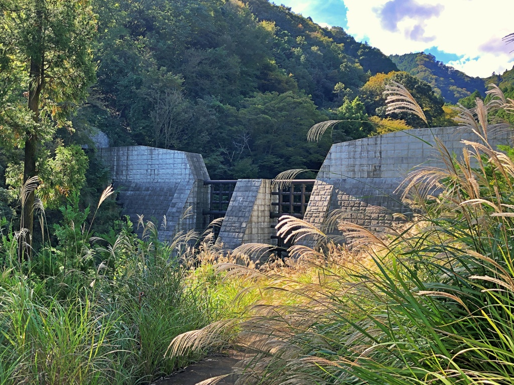 f:id:miwa3k:20191103131204j:plain