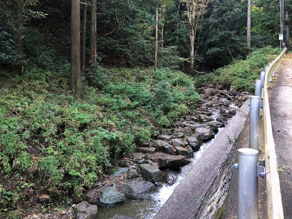 f:id:miwa3k:20191103131211j:plain