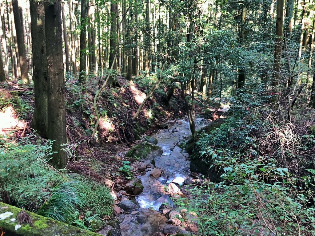 f:id:miwa3k:20191103131240j:plain