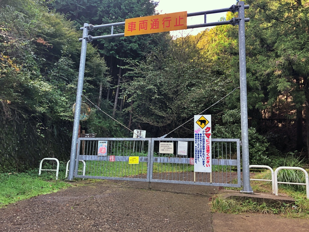 f:id:miwa3k:20191103131248j:plain