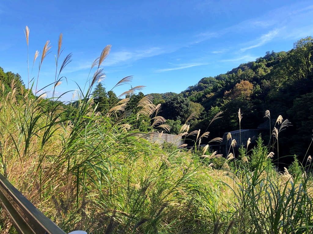 f:id:miwa3k:20191103131258j:plain