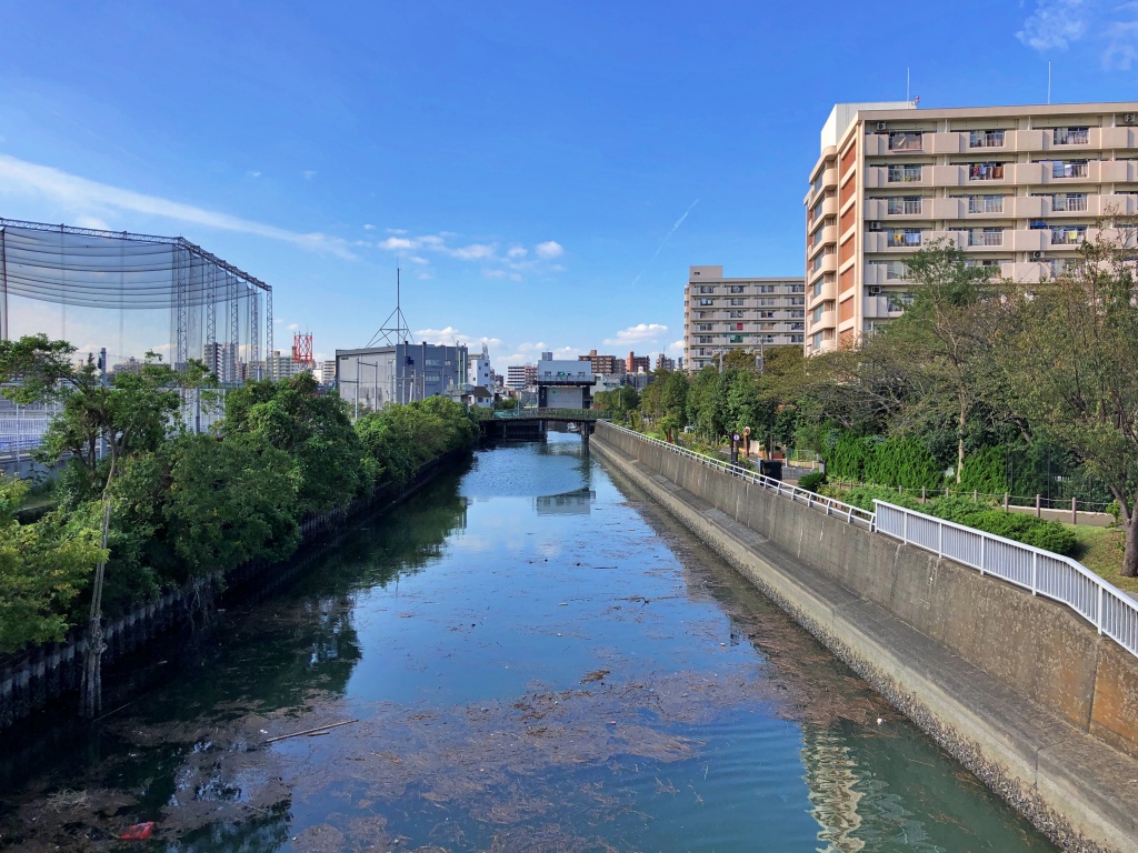 f:id:miwa3k:20191111124205j:plain