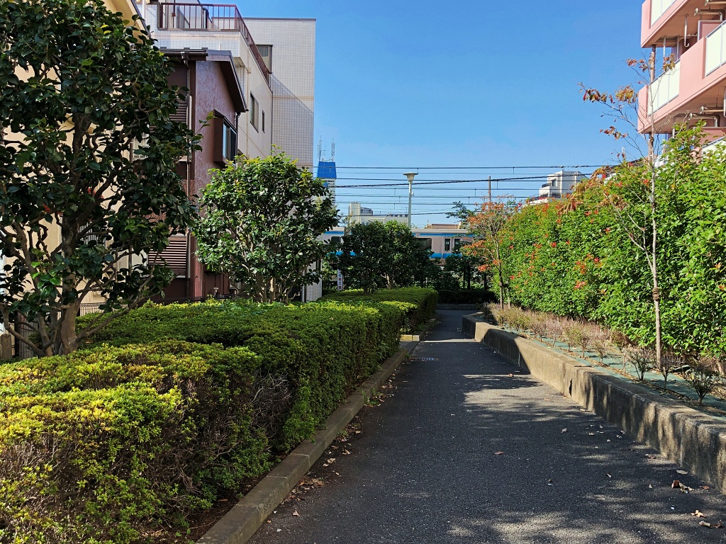 f:id:miwa3k:20191111124301j:plain