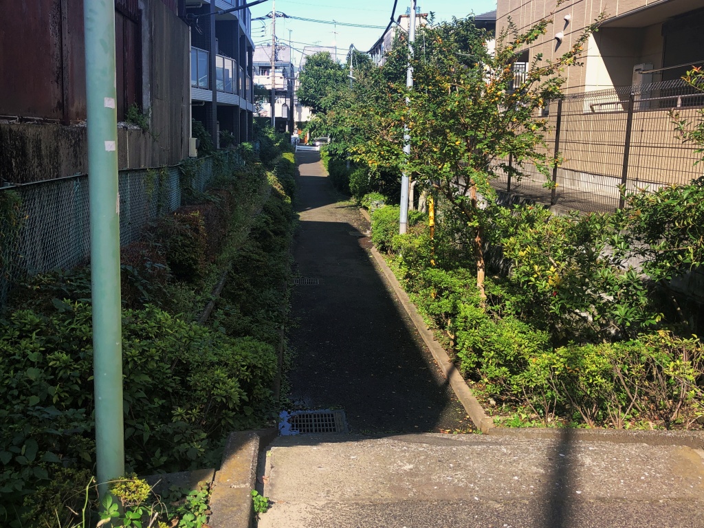 f:id:miwa3k:20191111124437j:plain