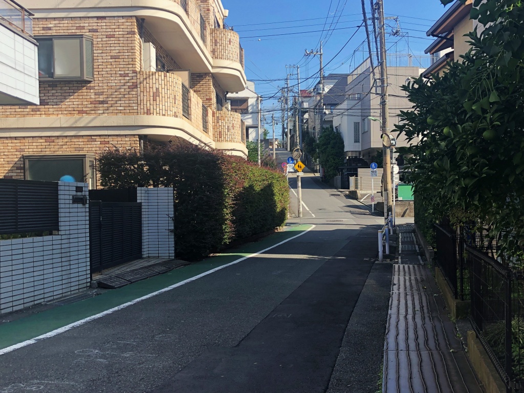 f:id:miwa3k:20191111124510j:plain