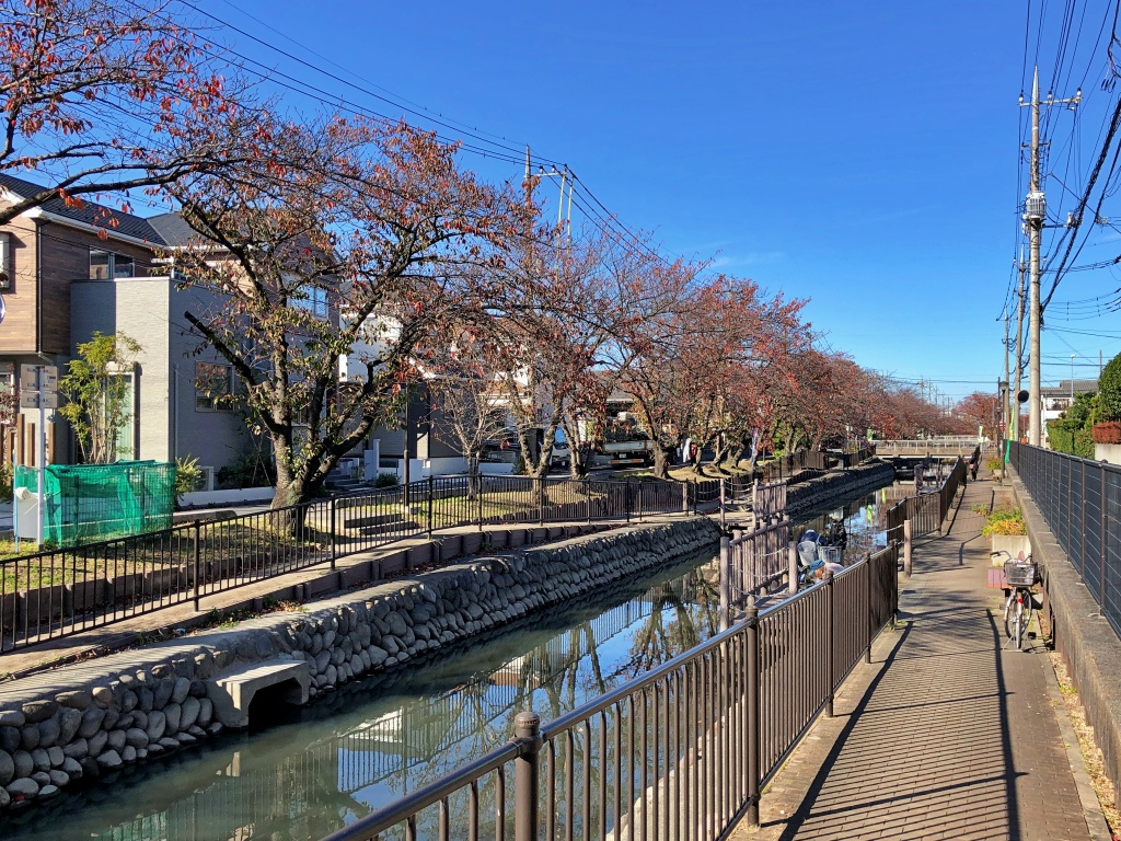 f:id:miwa3k:20191126212029j:plain