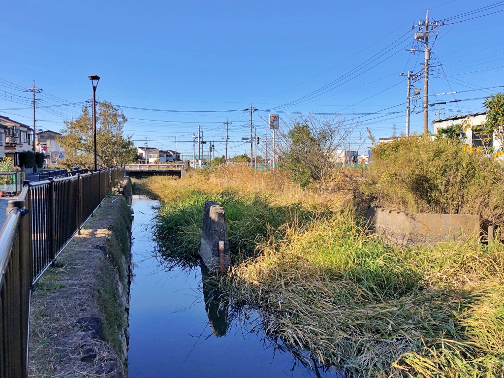 f:id:miwa3k:20191126212151j:plain