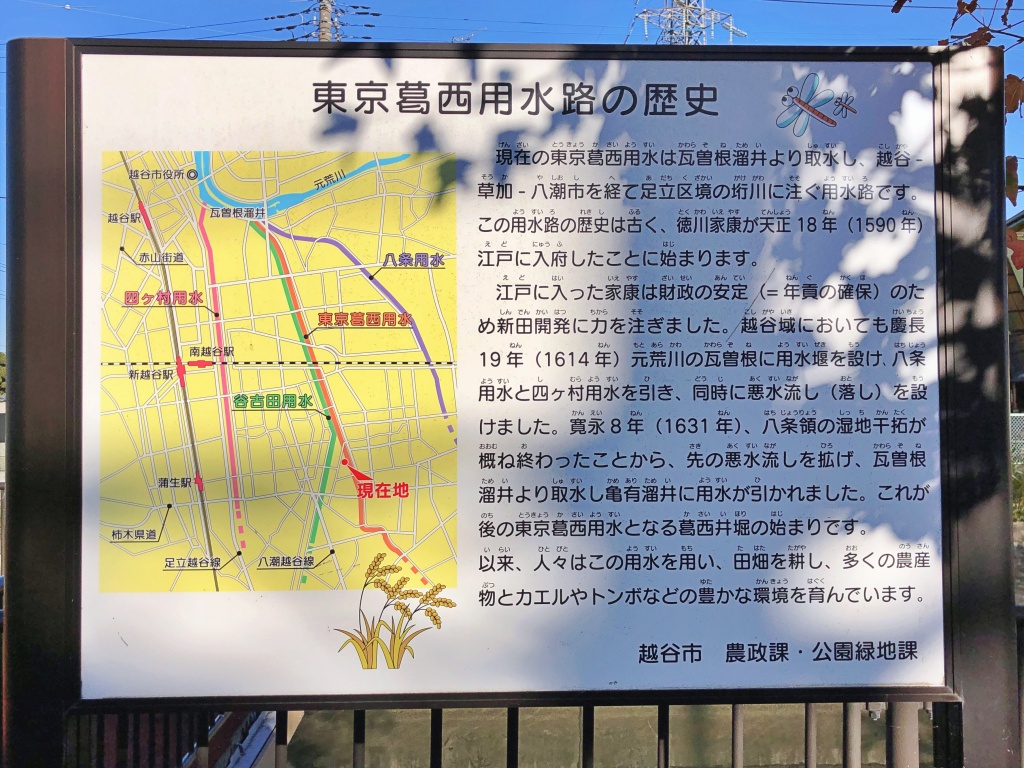 f:id:miwa3k:20191126212232j:plain